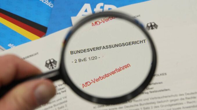 Verfassungsschutz AfD